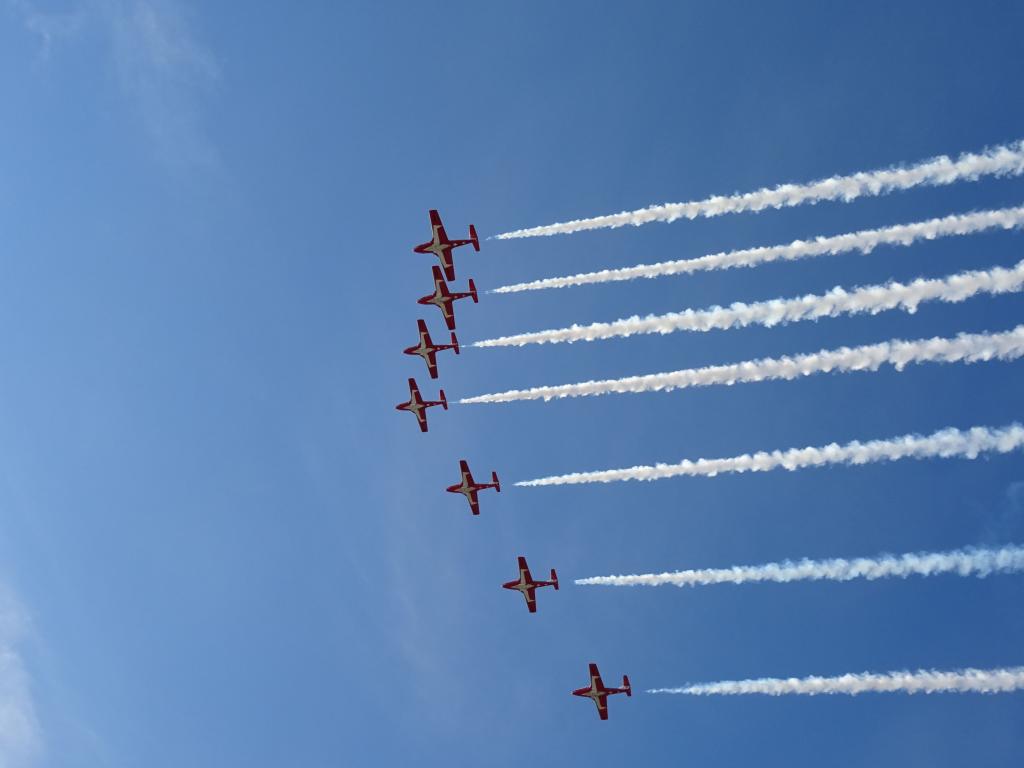 6542 - Airshow Snowbirds