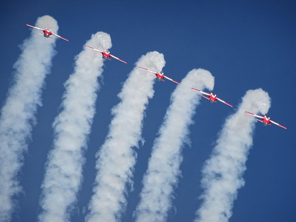 6555 - Airshow Snowbirds