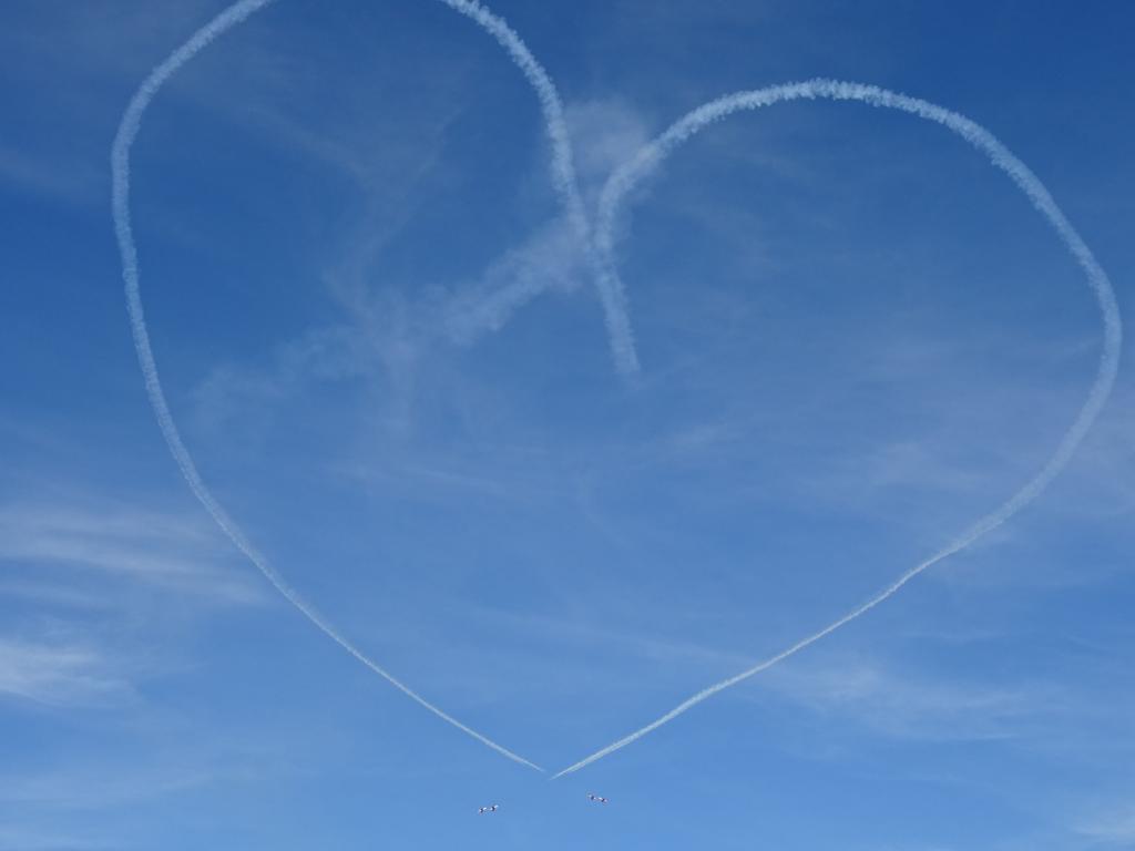 6559 - Airshow Snowbirds