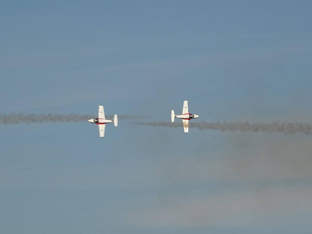 6565 - Airshow Snowbirds