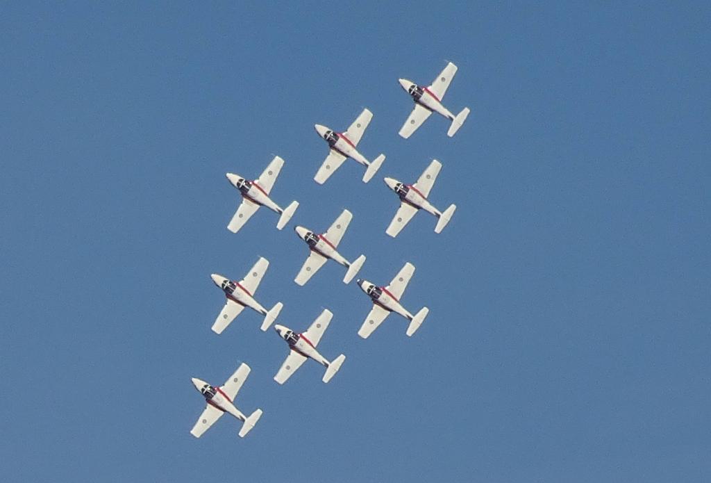 6572 - Airshow Snowbirds