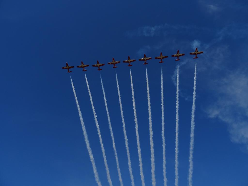 6578 - Airshow Snowbirds