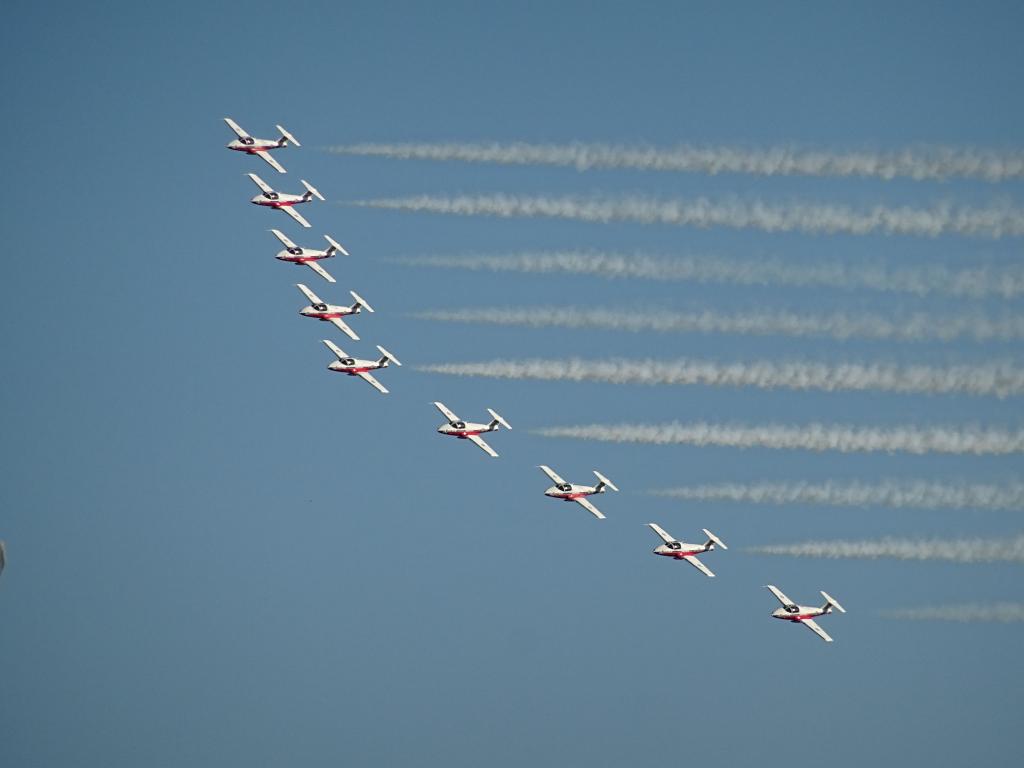 6579 - Airshow Snowbirds