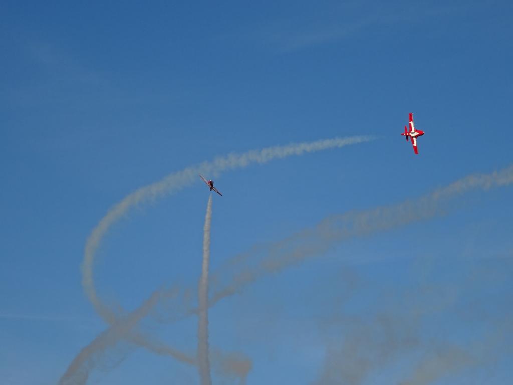 6584 - Airshow Snowbirds