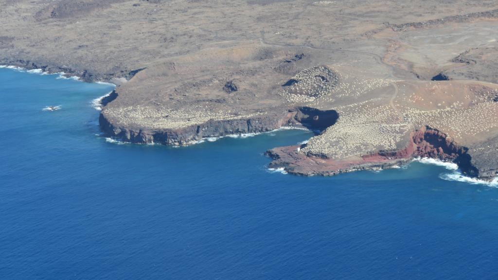 157 - 20221214 Kona Flight