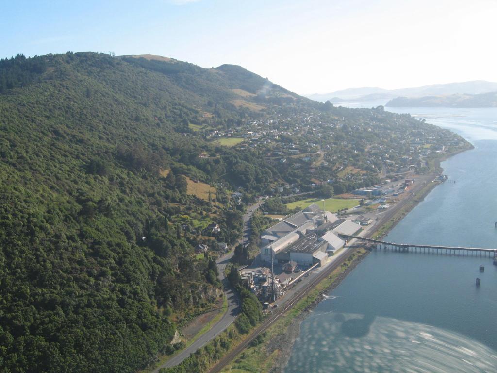 115 - Dunedin Heli