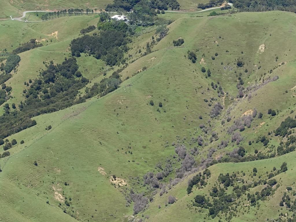 254 - 20150119 Cape Reinga-Kerikeri