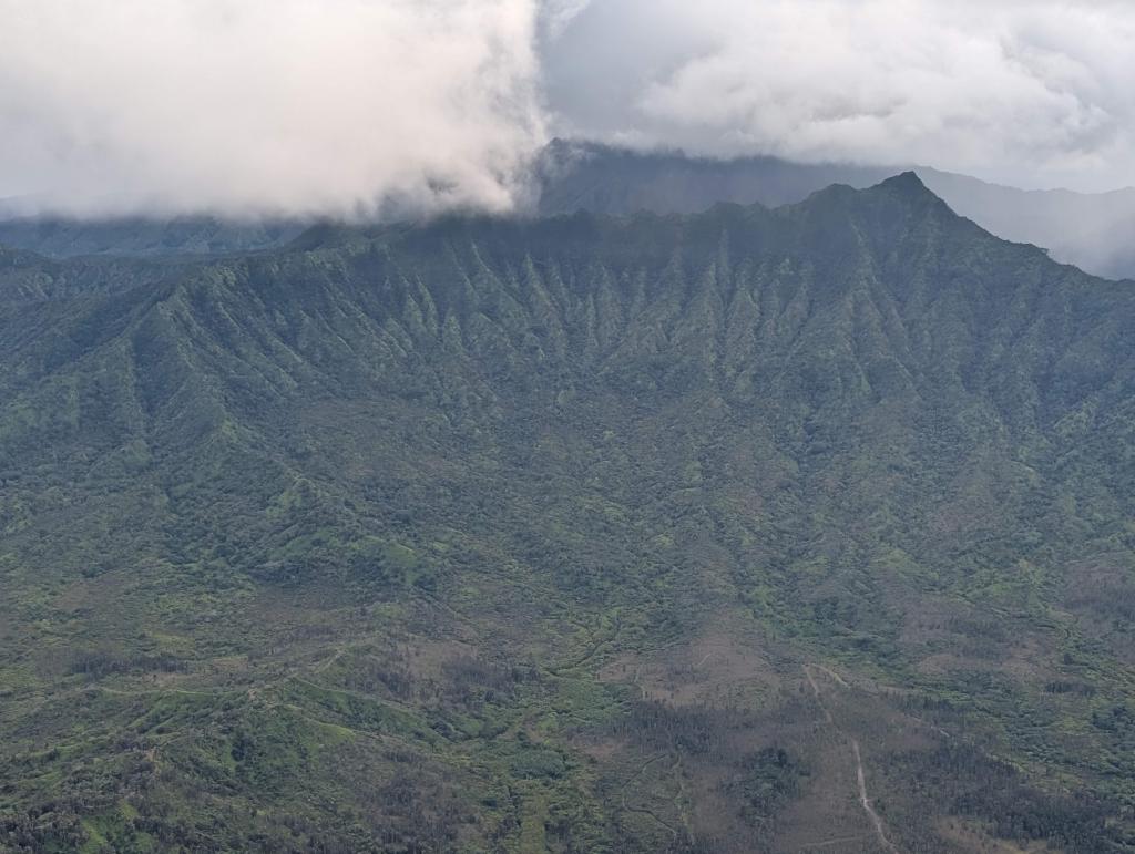 1172 - 20241204 Kaua Flight Google