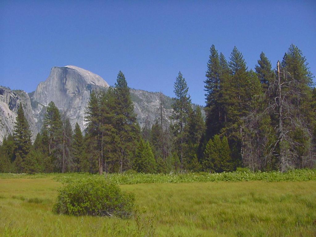 113 - yosemite