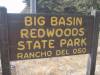 129 - BigBasinRedwoods