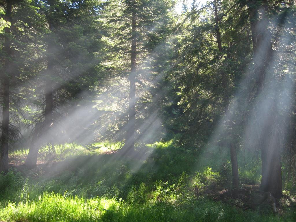 400 - Day3 BearPaw CrescentMeadow