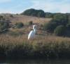 132 - Kayak Moss Landing