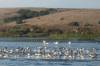 142 - Kayak Moss Landing