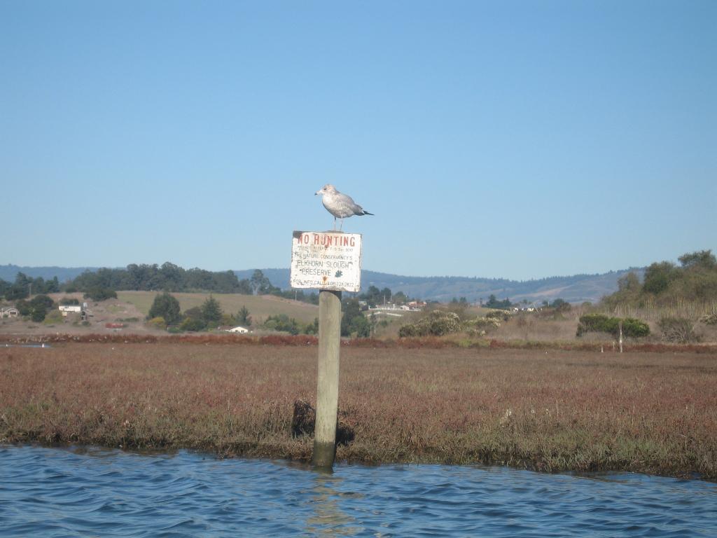 121 - Kayak Moss Landing