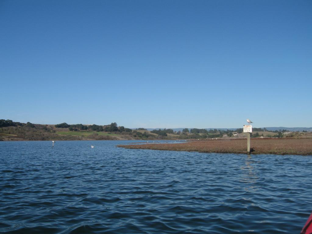 122 - Kayak Moss Landing