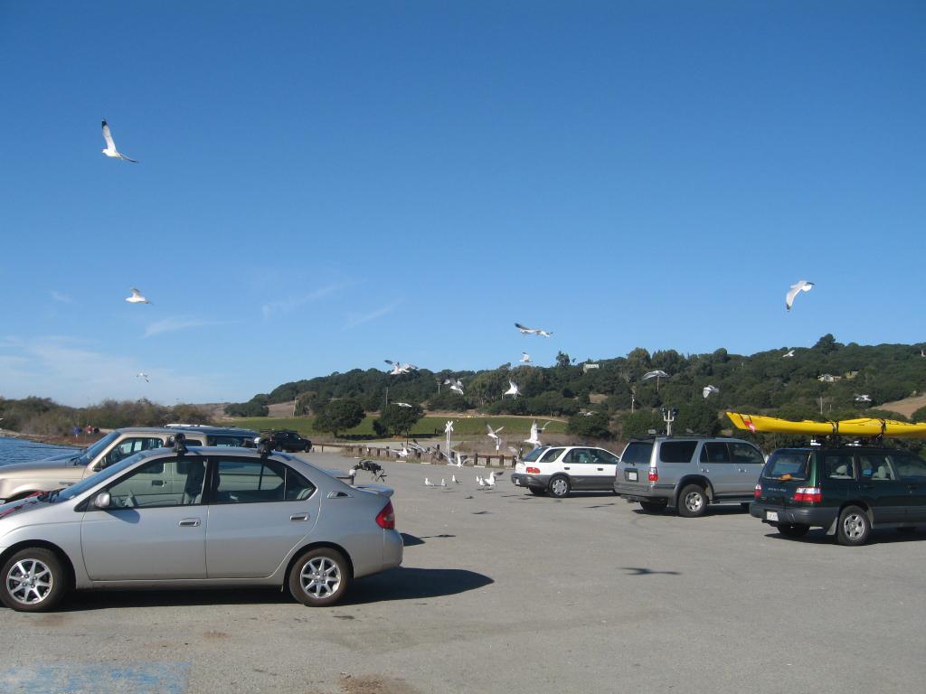 124 - Kayak Moss Landing