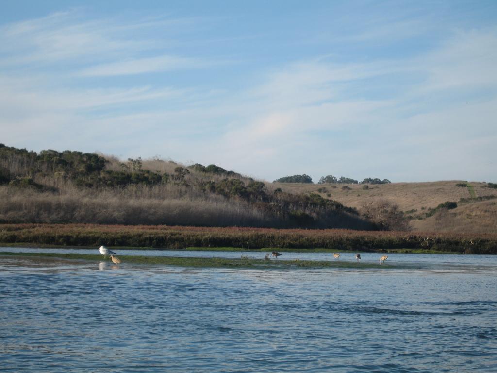 133 - Kayak Moss Landing