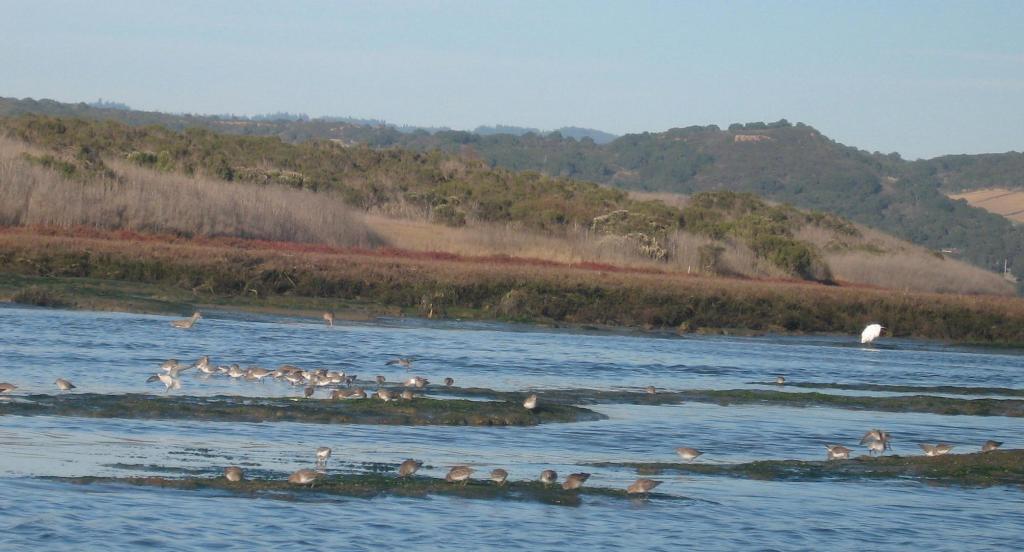 135 - Kayak Moss Landing