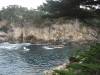 Album: 2006/11/26 - Point Lobos