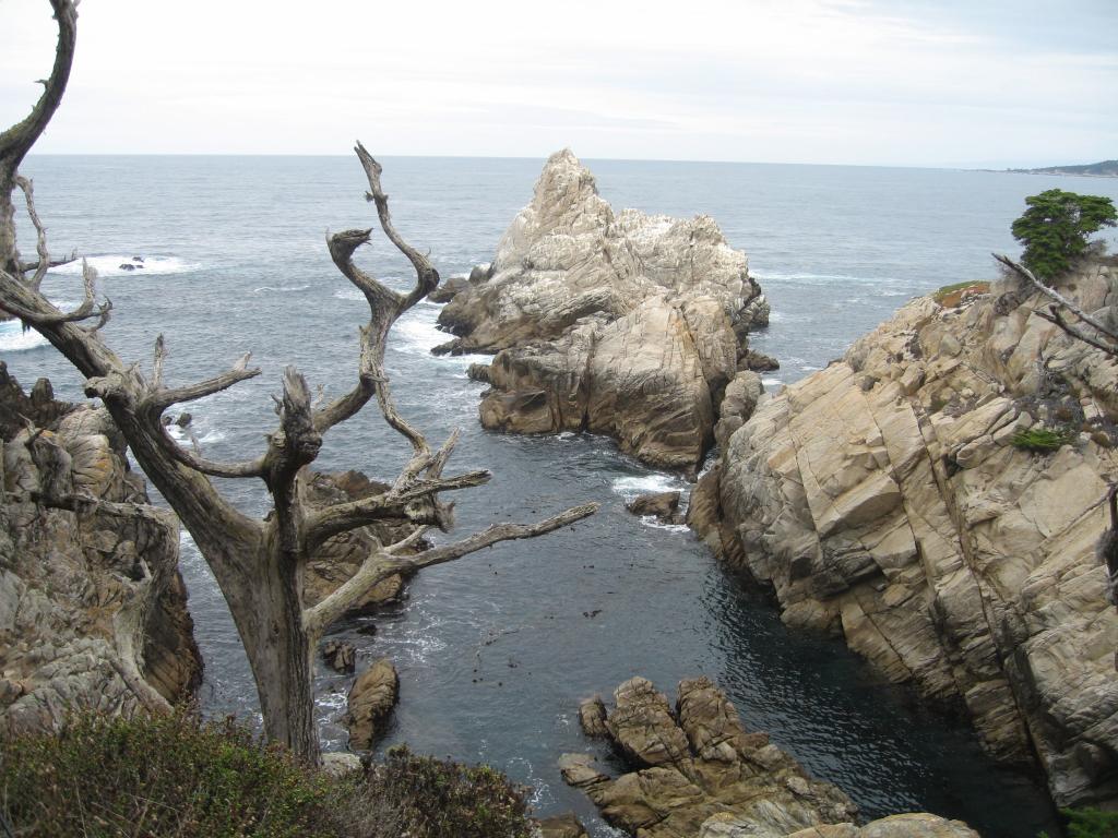 115 - Point Lobos Hiking