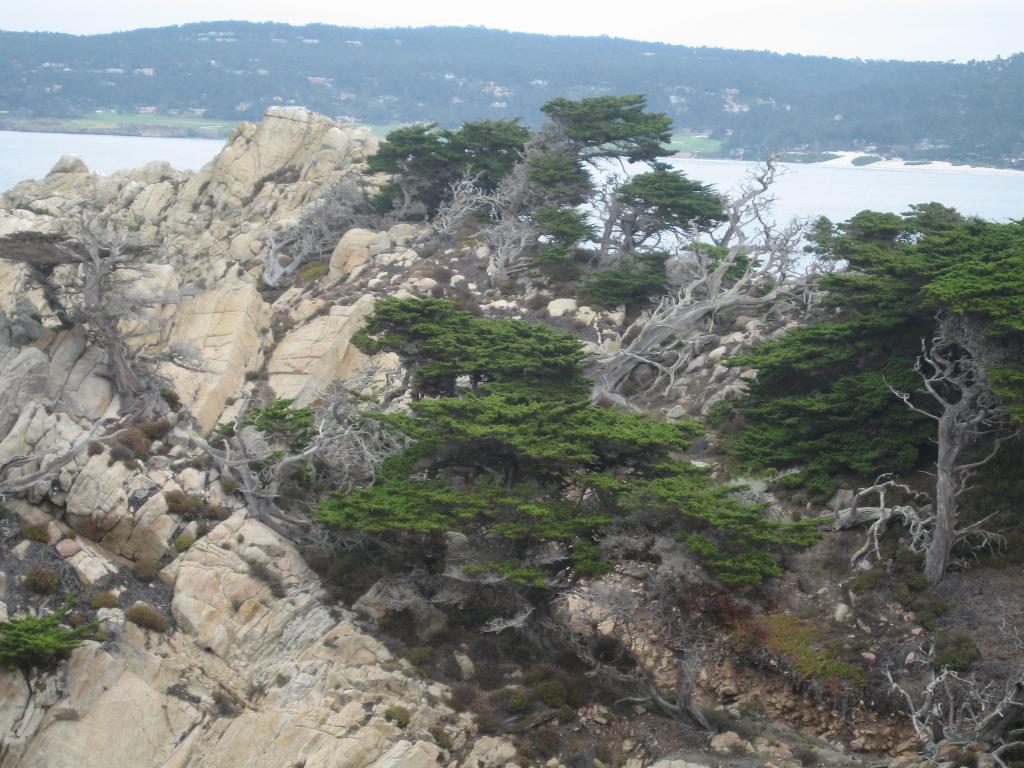 118 - Point Lobos Hiking