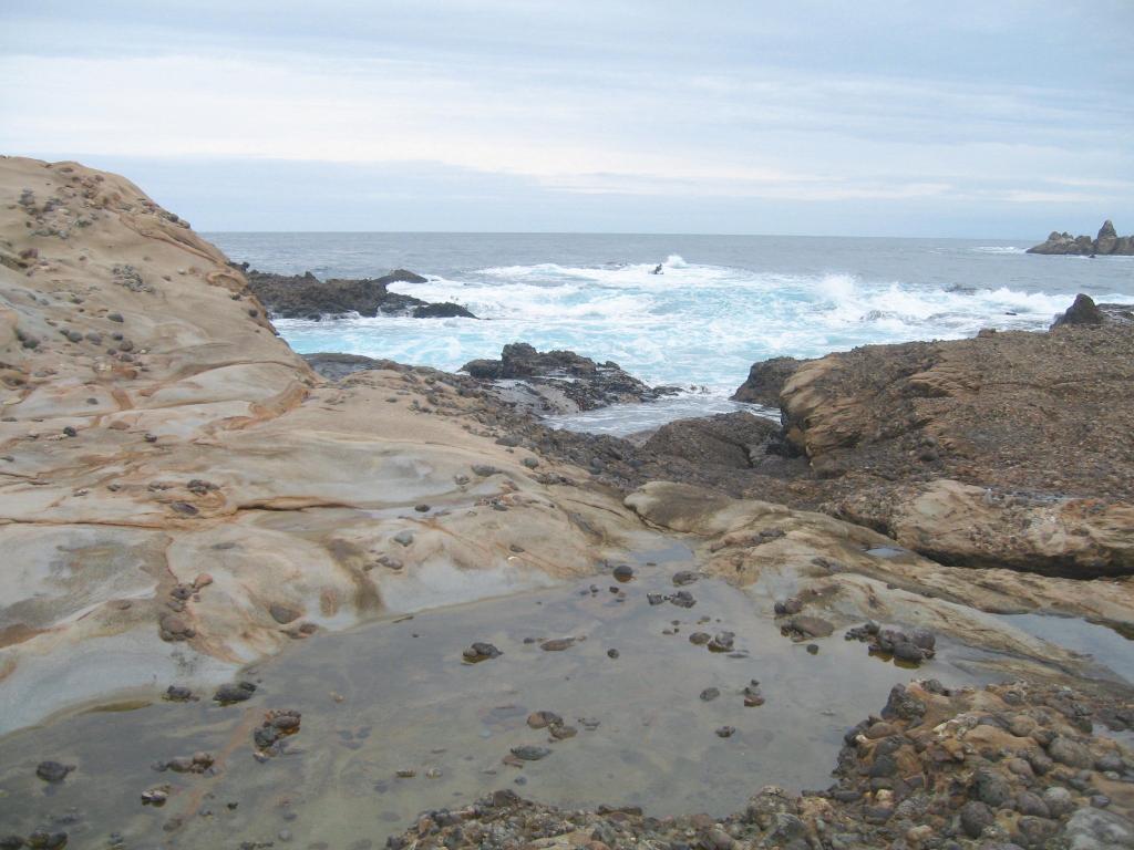 124 - Point Lobos Hiking