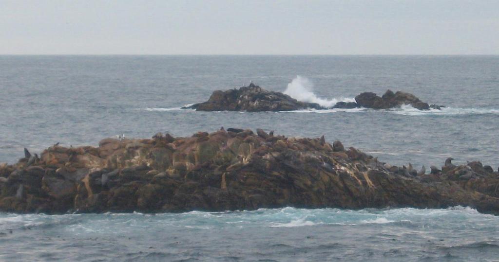 128 - Point Lobos Hiking