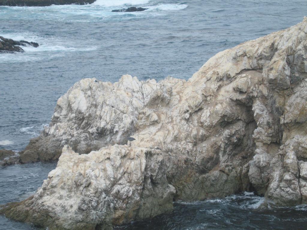 139 - Point Lobos Hiking