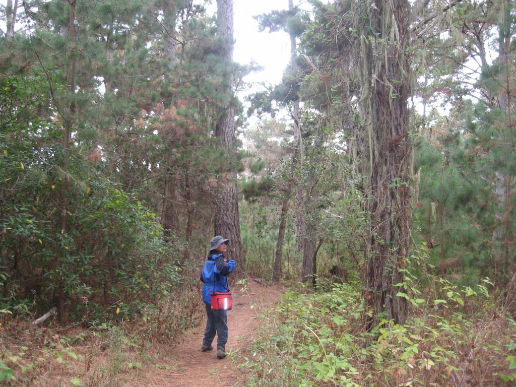 142 - Point Lobos Hiking