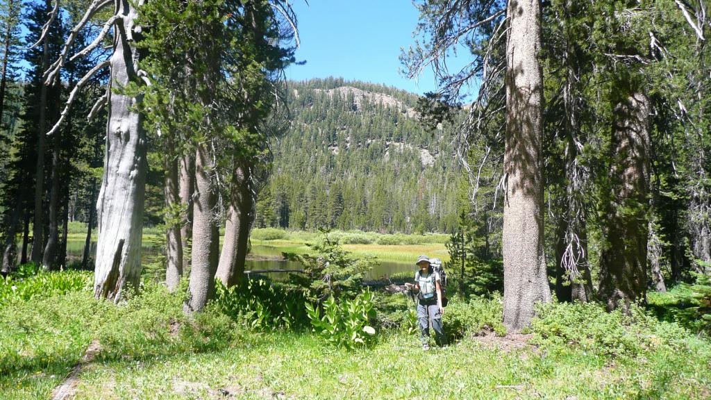 317 - DP Tuolumne Hike Day1