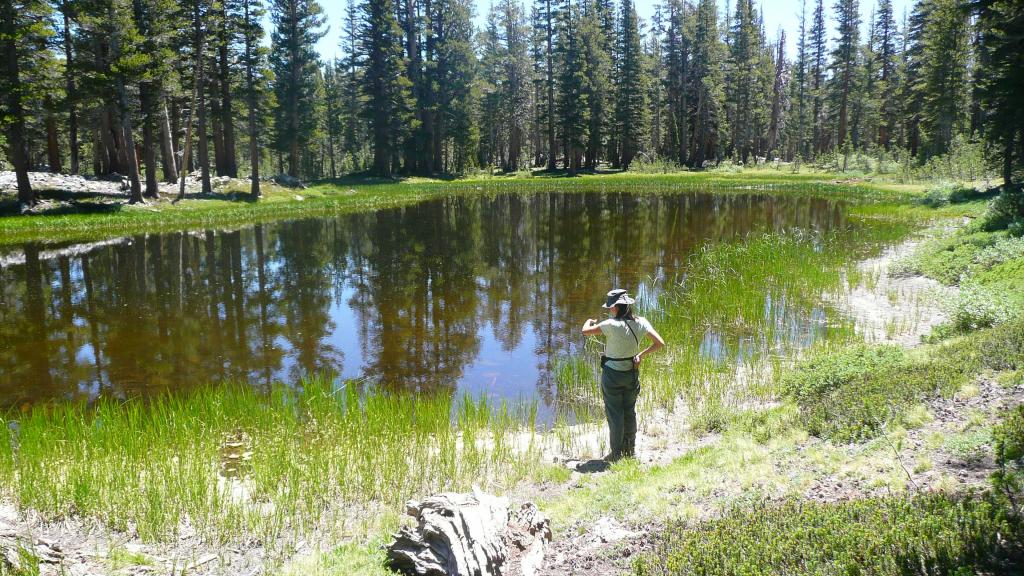 321 - DP Tuolumne Hike Day1