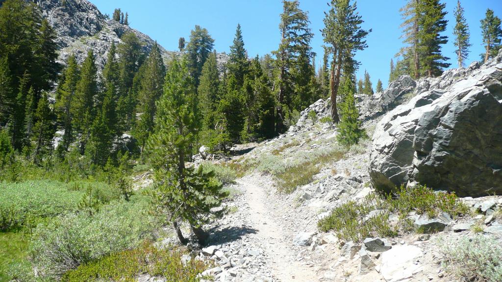 331 - DP Tuolumne Hike Day1