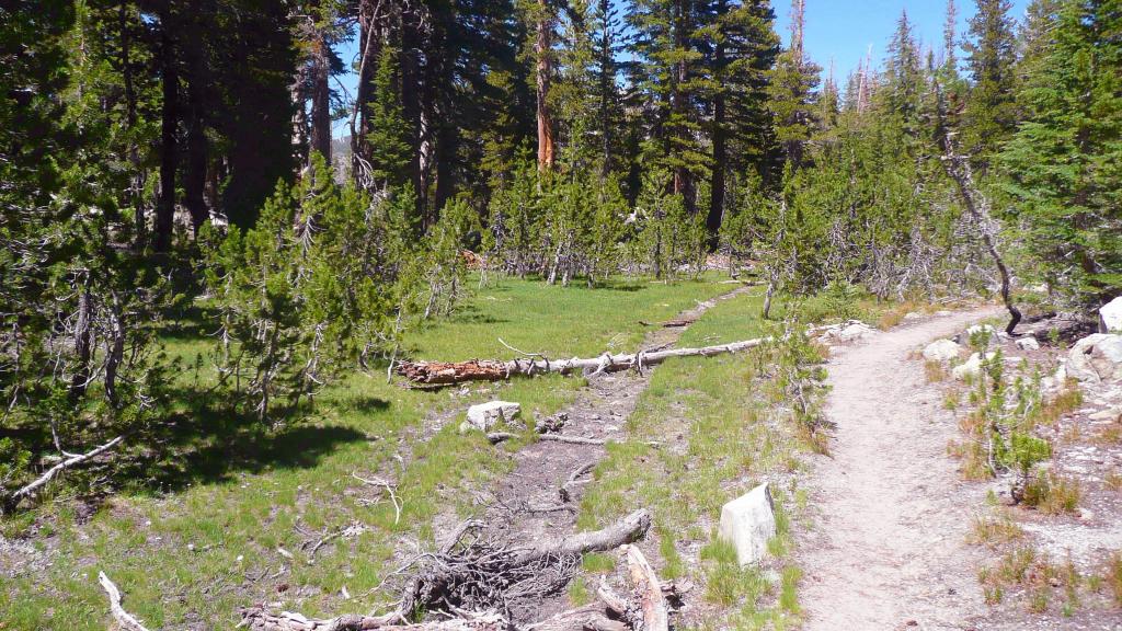 332 - DP Tuolumne Hike Day1