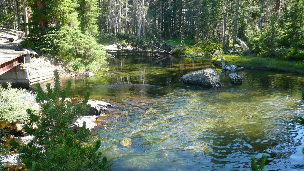 351 - DP Tuolumne Hike Day1