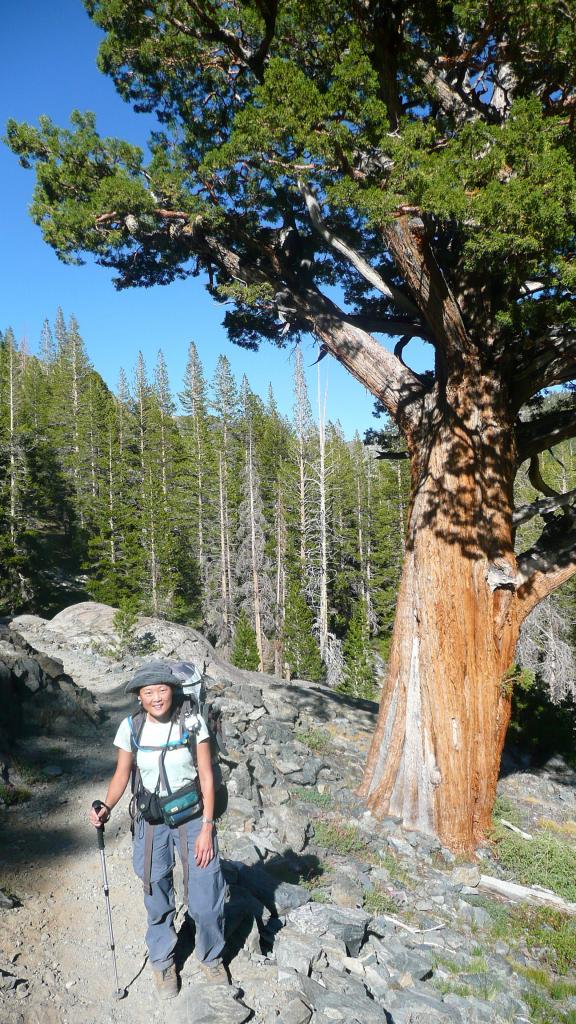 355 - DP Tuolumne Hike Day1