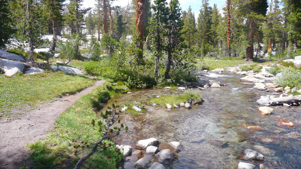 451 - DP Tuolumne Hike Day2