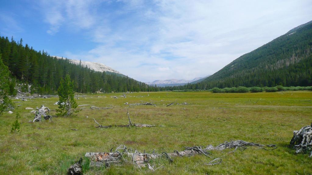 525 - DP Tuolumne Hike Day3