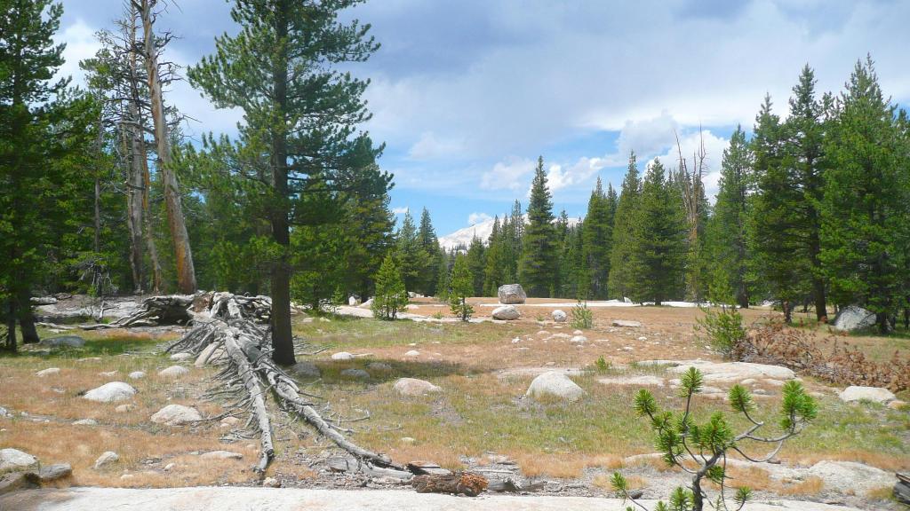 539 - DP Tuolumne Hike Day3