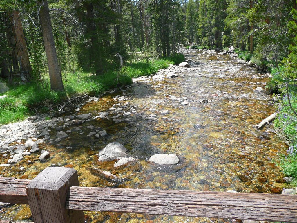 551 - DP Tuolumne Hike Day3