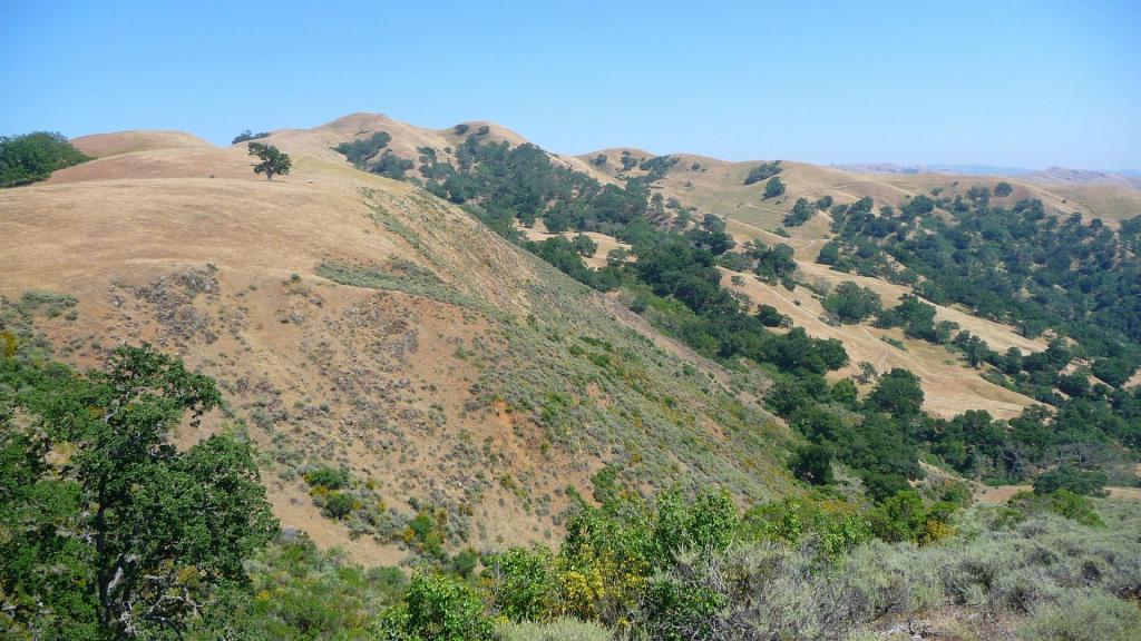 127 - Sunol Ohlone