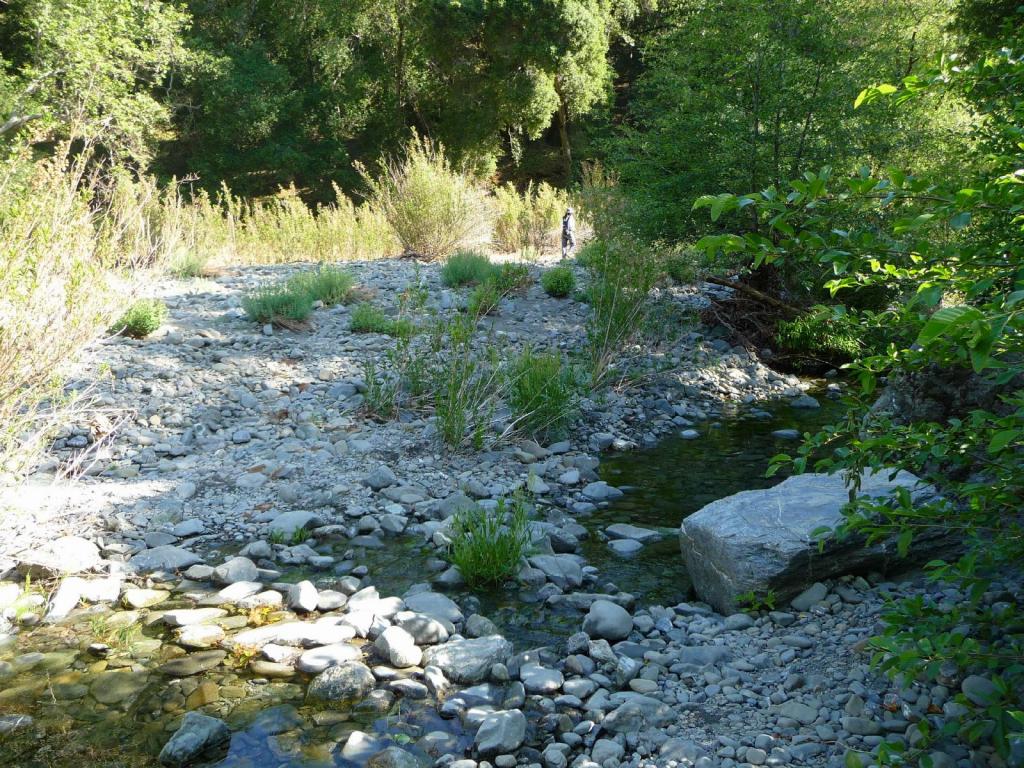 136 - Sunol Ohlone