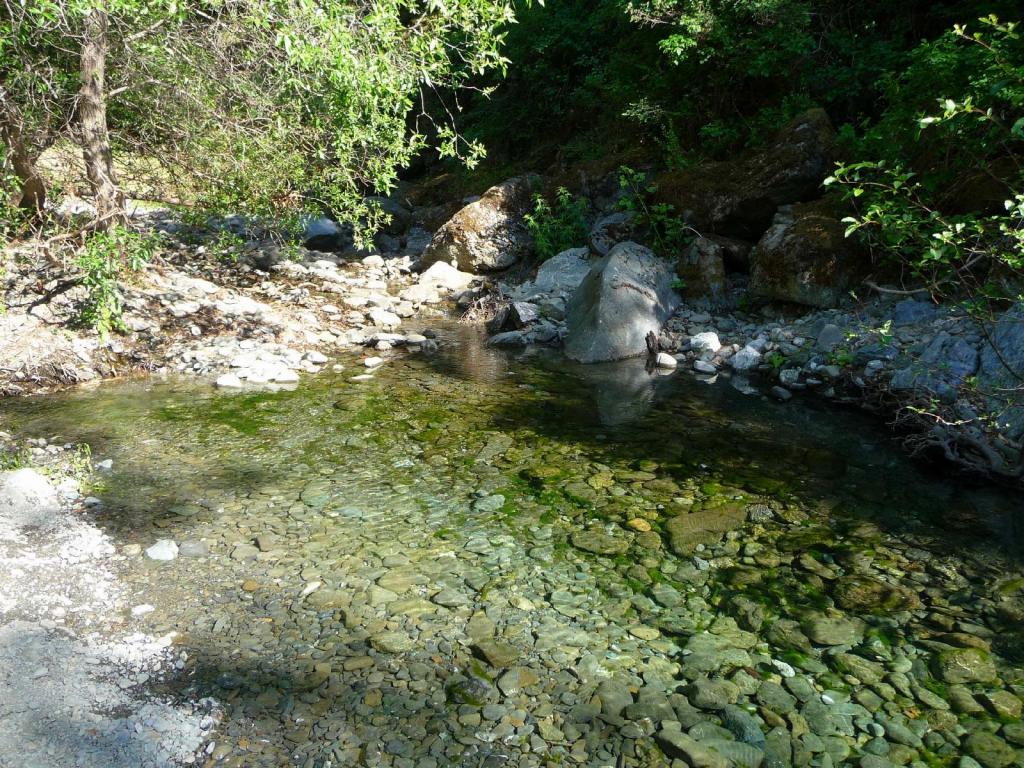 137 - Sunol Ohlone