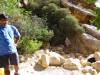 Album: 2013/06/06 - Icebox Canyon