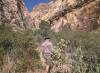 107 - 20130606 Icebox Canyon