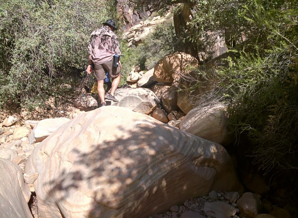 110 - 20130606 Icebox Canyon