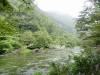 141 - 20150204 Milford Track