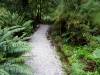 215 - 20150204 Milford Track