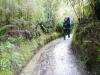 222 - 20150204 Milford Track