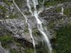 232 - 20150204 Milford Track