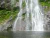 238 - 20150204 Milford Track